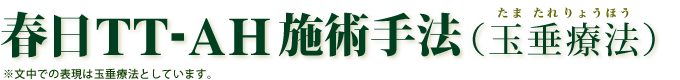 春日TT-AH施術手法(玉垂療法)